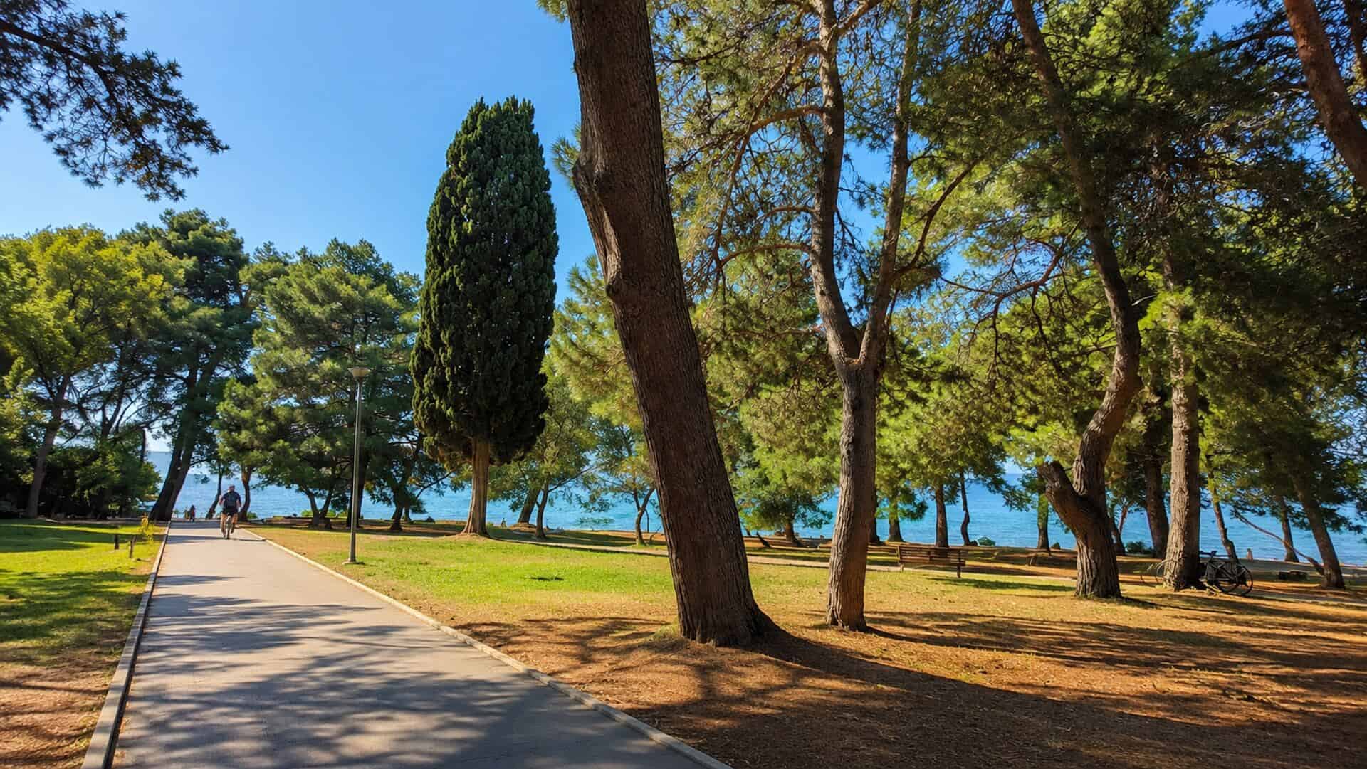 Park Poreč — seaside pine trees and cycling path
