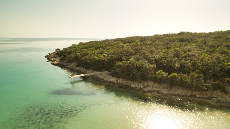 Dundo Forest