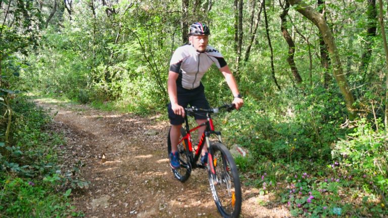 Dundo Forest