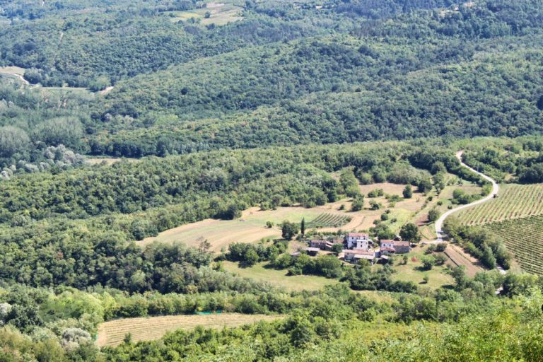 Motovun