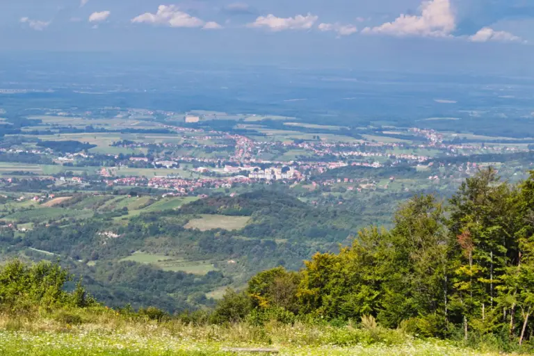 Omanovac
