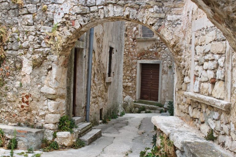Plomin