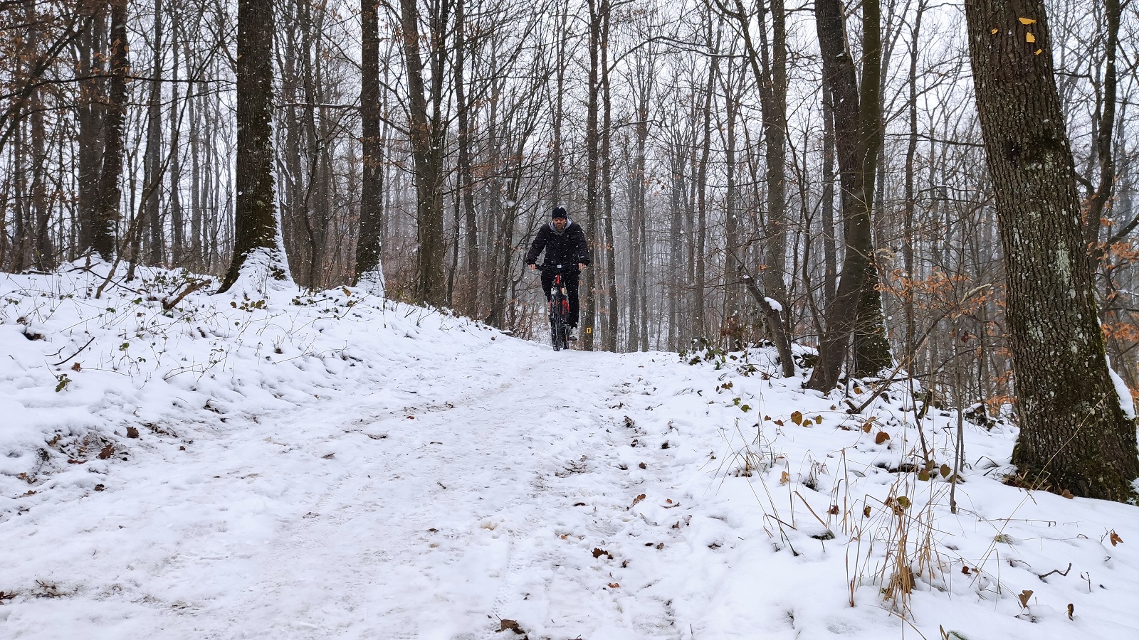 Top 3 reasons why you should go on snow cycling