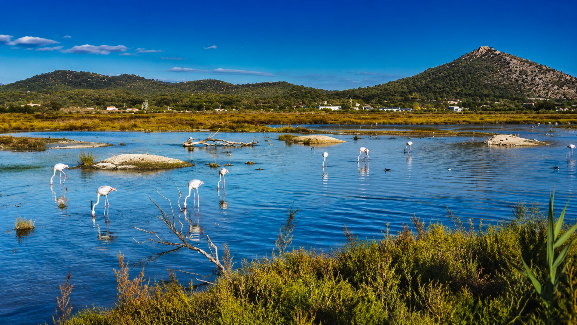 Albufera Natural Park 2 - Bikademy