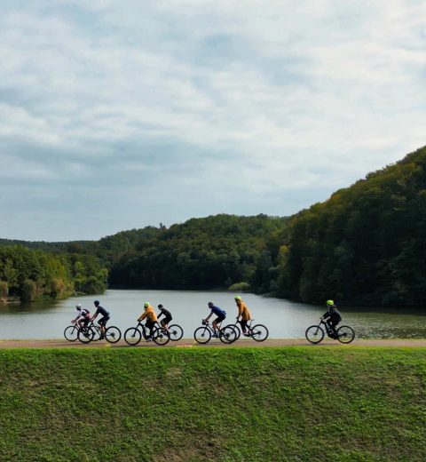 Bike Tourism: An Eco-Friendly Way to Explore Destinations