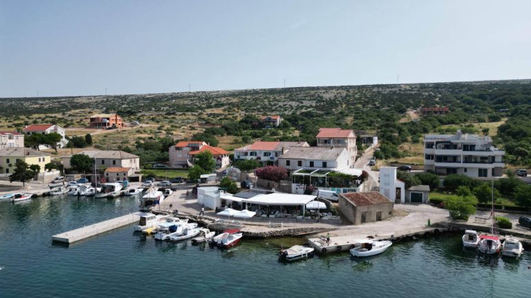 Šimuni