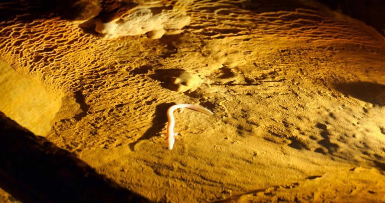 Baredine Cave