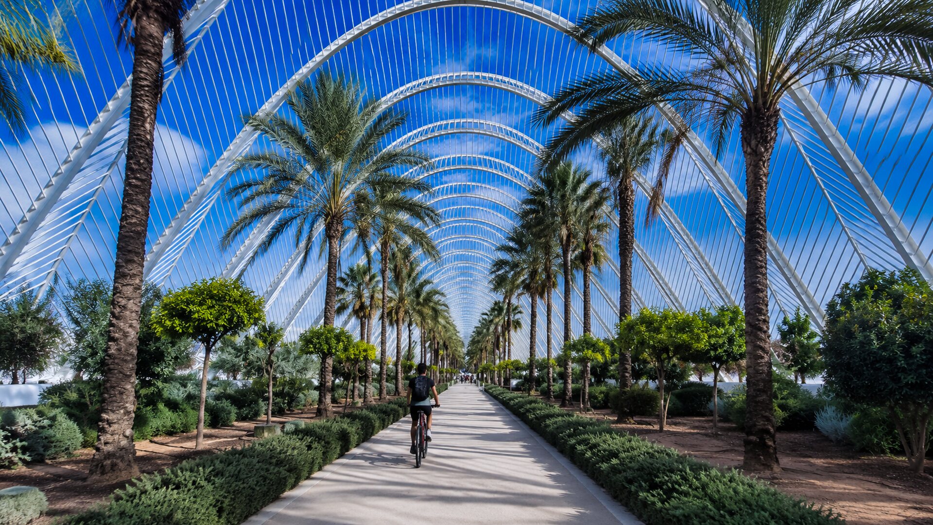 City Of Arts And Sciences 2 - Bikademy
