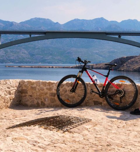 The Rise of Cycling Tourism
