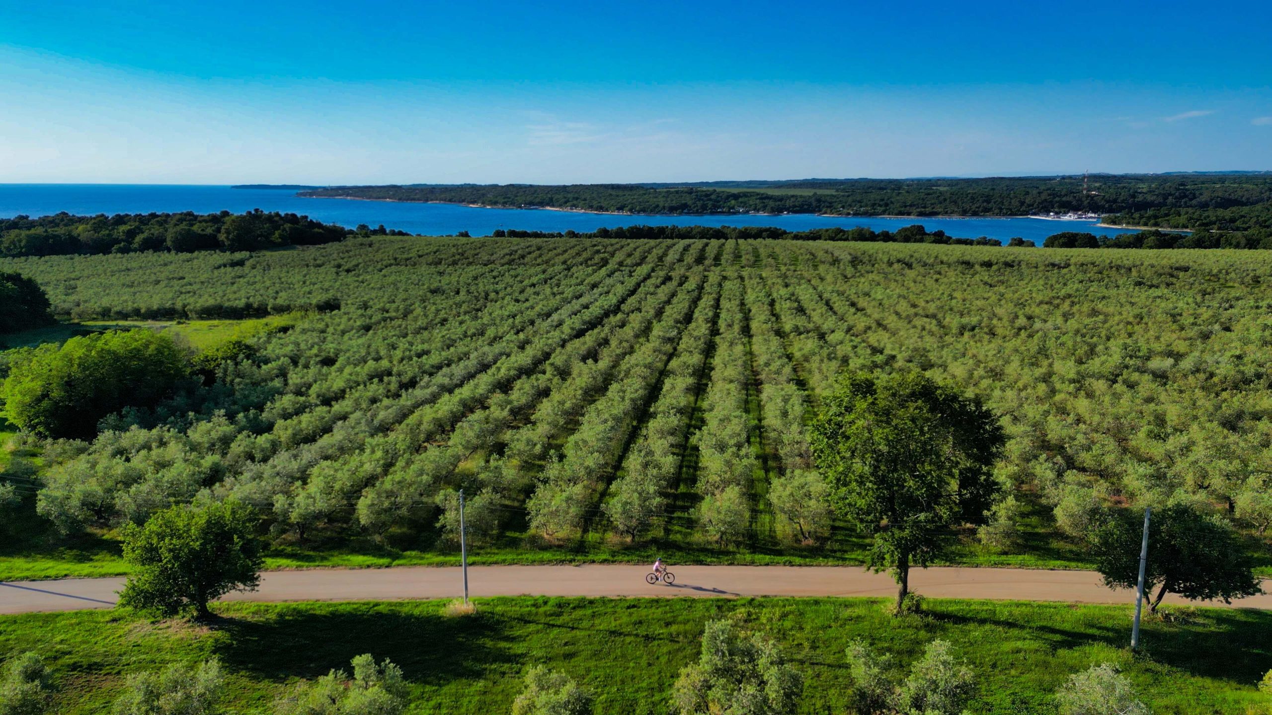 Cycling Tourism In Poreč 2
