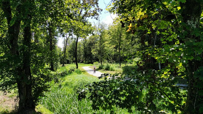 Stalnjak Spring